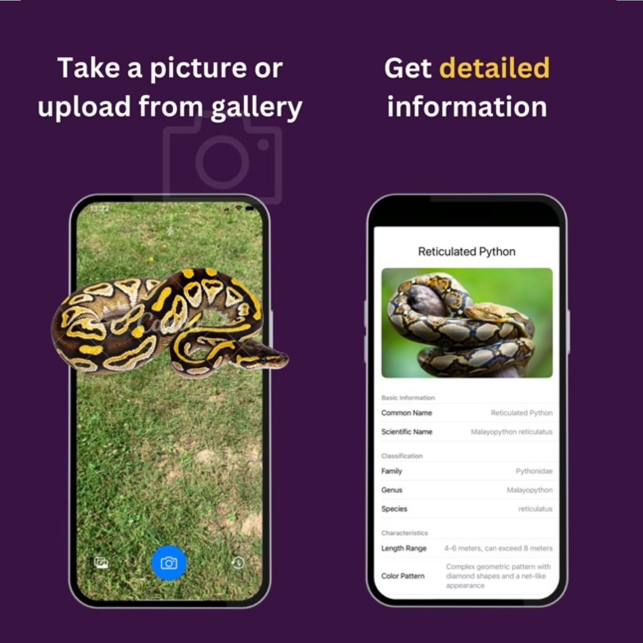 SnakeAI App Preview